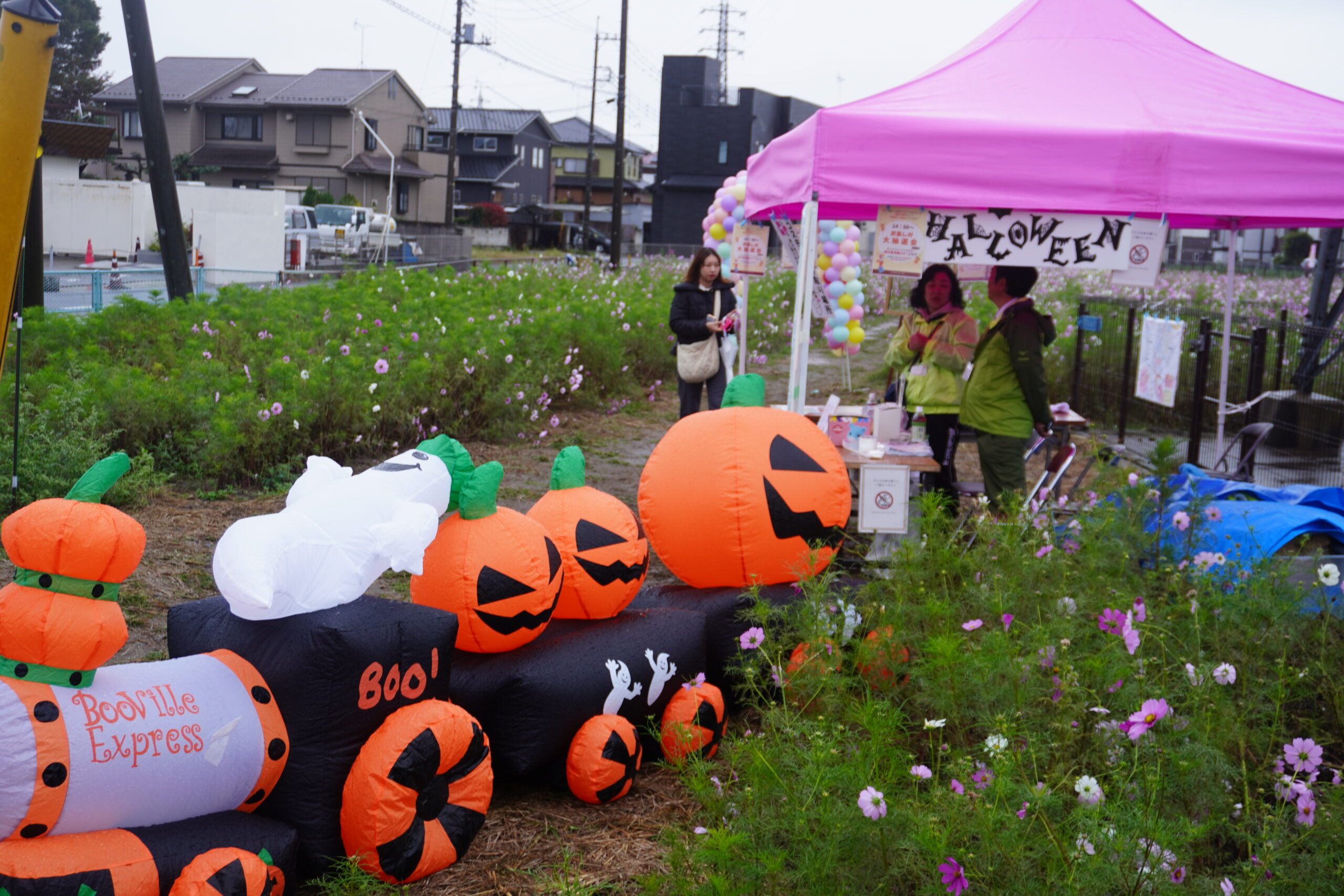 コスモスフェスタの様子2