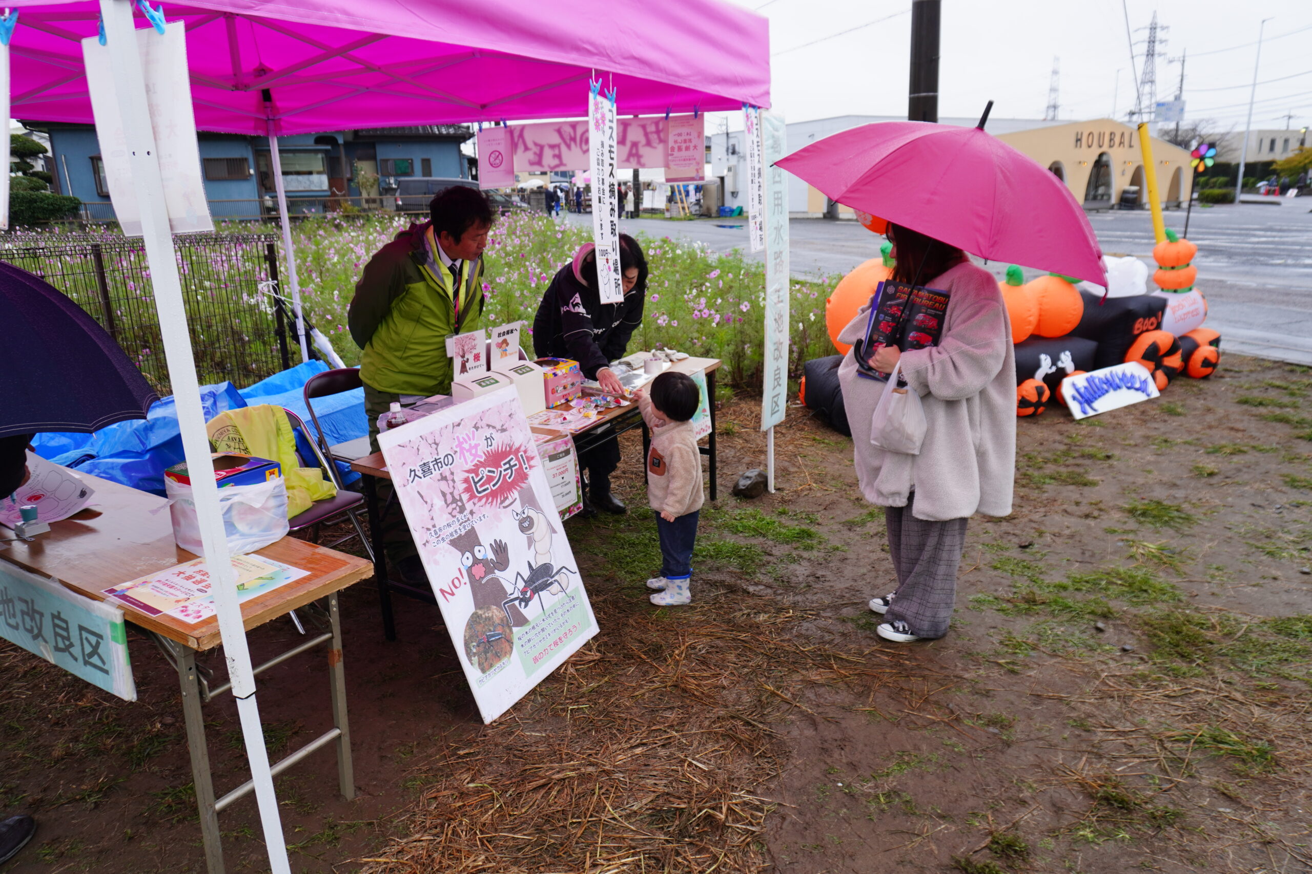 コスモスフェスタの様子4