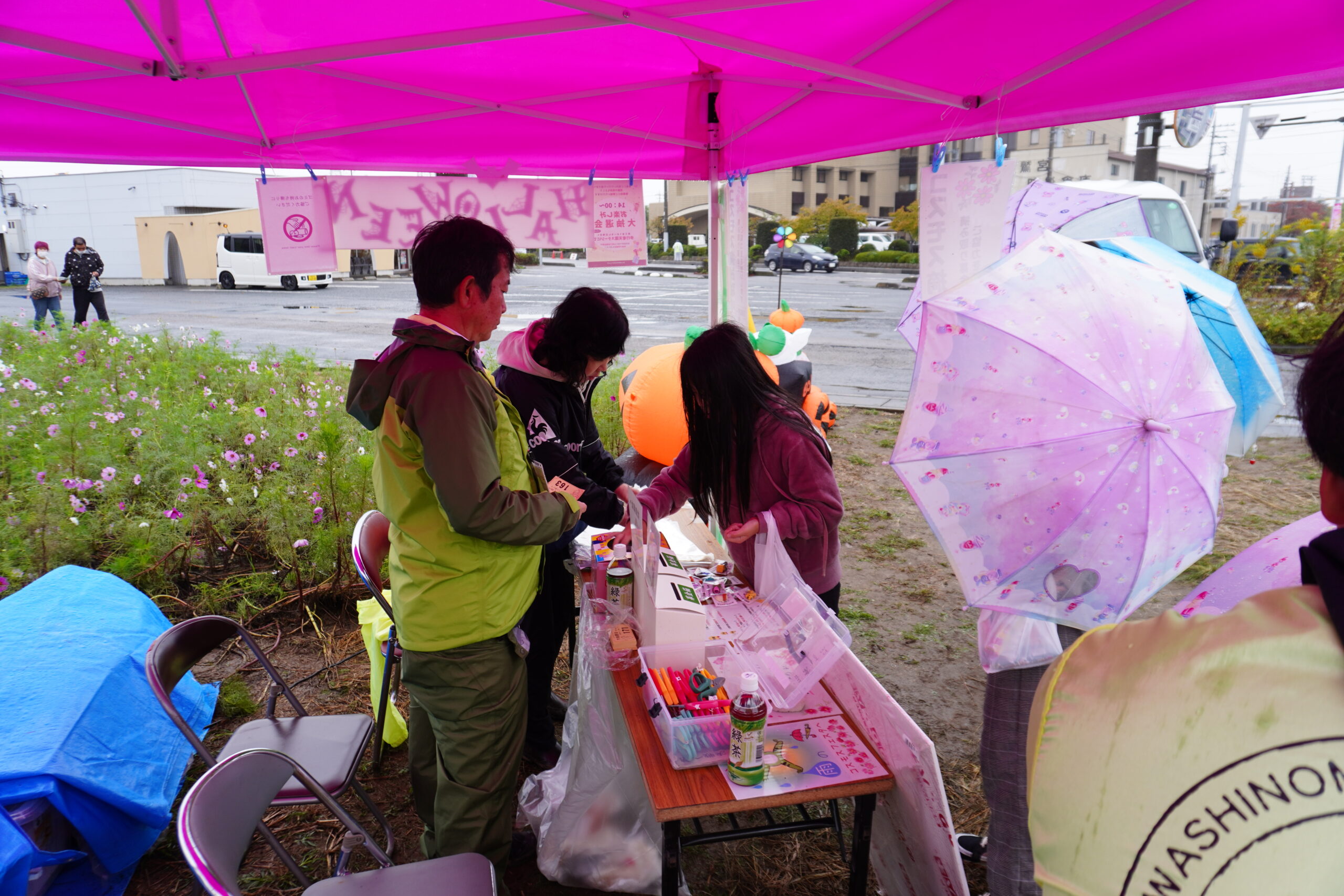 コスモスフェスタの様子3